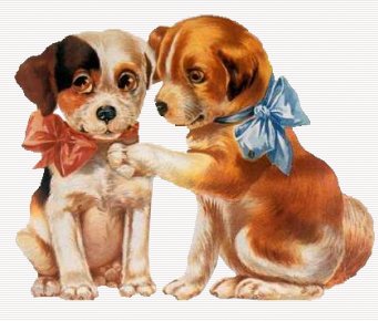 besoin de calin
