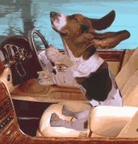 en voiture