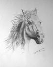 cheval