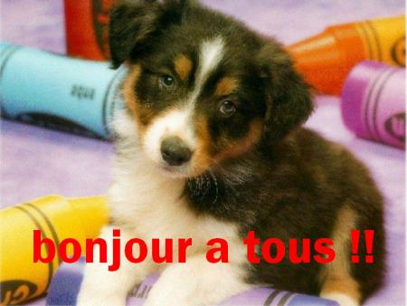 bonjour