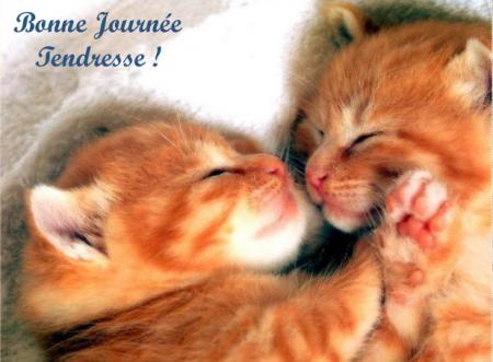 bonne journée