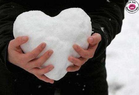 amour