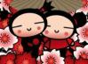 Pucca